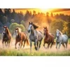 Image de Trefl Chevaux Sauvages 26215