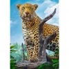 Image de Trefl Léopard 37332