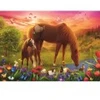 Image de Trefl Chevaux Dans Le Pré 37451