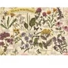 Image de Trefl Herbier : Herbes Médicinales 37478