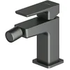 Image de Omnires PM7420GR, Robinet de bidet Parma, Graphite