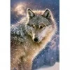 Image de Castorland Loup Solitaire 52431