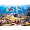 Image de Castorland Le Monde des Dauphins 52547