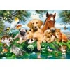 Image de Castorland Les Amis de l'Été 53230