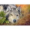 Image de Castorland me Pure 53285