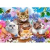 Image de Castorland Chats avec Fleurs 53513