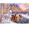 Image de Castorland Fonte d'Hiver 53704