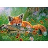 Image de Castorland Rêves de Renard 53872