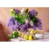 Image de Castorland Nature Morte Lilas 54091