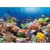 Image de Castorland Récif de Corail 101511