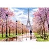 Image de Castorland Promenade Romantique à Paris 104369