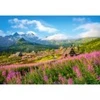 Image de Castorland Tatras, Pologne 104512