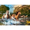 Image de Castorland Le Pays des Merveilles du Cheval 104789