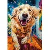 Image de Castorland Euphoric Spectrum 105182