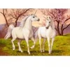 Image de Castorland Licornes Amoureuses 105236