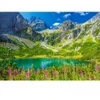 Image de Castorland Zelene Pleso, Tatras, Slovaquie 105267