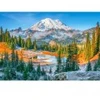 Image de Castorland Mount Rainier National Park, USA 105496
