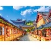 Image de Castorland Lijiang, Chine 105519