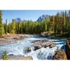 Image de Castorland Canada, Parc National de Jasper : Rivière Athabasca 150762