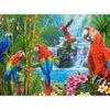 Image de Castorland Réunion de Perroquets 200870