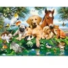 Image de Castorland Summer Pals 222063