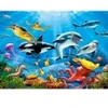 Image de Castorland Tropical Underwater World 222094