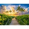 Image de Castorland Miami, USA 300617