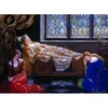 Image de DToys John Collier - The Sleeping Beauty 73822