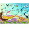 Image de Roovi Amazing Birds 79442