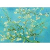 Image de Enjoy Puzzle Vincent Van Gogh : Fleur d'amandier Puzzle-1125
