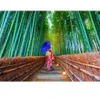 Image de Enjoy Puzzle Asian Woman in Bamboo Forest Puzzle-1293