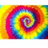 Image de Enjoy Puzzle Rainbow Swirl Puzzle-1632