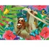 Image de Enjoy Puzzle Sweet Sloths Puzzle-1919