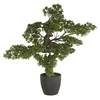 Image de Bonsai Artificiel géant avec Pot en Plastique/Ciment - Dim : H 80 x L 80 x P 60 cm -PEGANE-