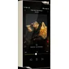 Image de Baladeurs audiophiles Hiby RS8 II Gold