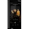 Image de Baladeurs audiophiles Hiby RS8 II Noir
