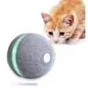 Image de Jouet CHEERBLE Interactive Ball M1 gray