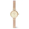 Image de Daniel Wellington Petite Mini Champagne Melrose