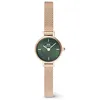Image de Daniel Wellington Petite Montres 19 Acier inoxydable avec Pvd plaqué or rose or rose