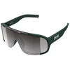 Image de Lunettes POC Aspire Cat. 3 Vert Verre Gris