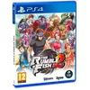 Image de The Rumble Fish 2 Playstation 4