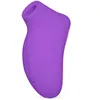 Image de LELO SONA 2 Travel Mini Vibromasseur pour Femme Stimulateur Clitoridien Vibrant Doté de 12 Modes de Plaisir et de la Technologie d Ondes Soniques, Purple