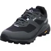 Image de Dolomite Nibelia Goretex Hiking Shoes EU 44