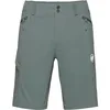 Image de Mammut Short Ducan pour homme, Dark Marsh, L
