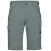 Image de Runbold IV Shorts Men