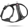 Image de curli Belka Comfort Harness Black M