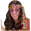 Image de "HIPPIE DUDE WIG brown - in polybag -