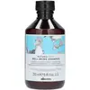 Image de Davines Natural Tech Well-Being Shampoo 250 ml