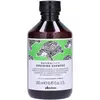 Image de Davines Natural Tech - Renewing Shampoo 250 ml