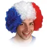Image de Carnival Toys - Pe132 - Perruque Pop France Luxe